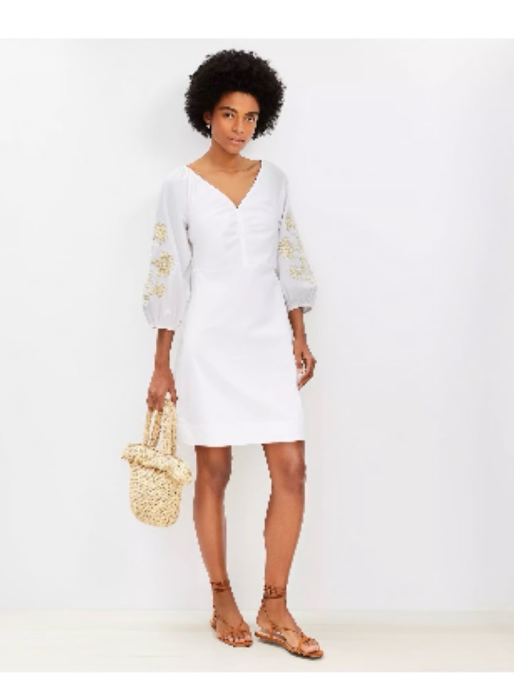 Loft dress with adorable embroidered sleeves